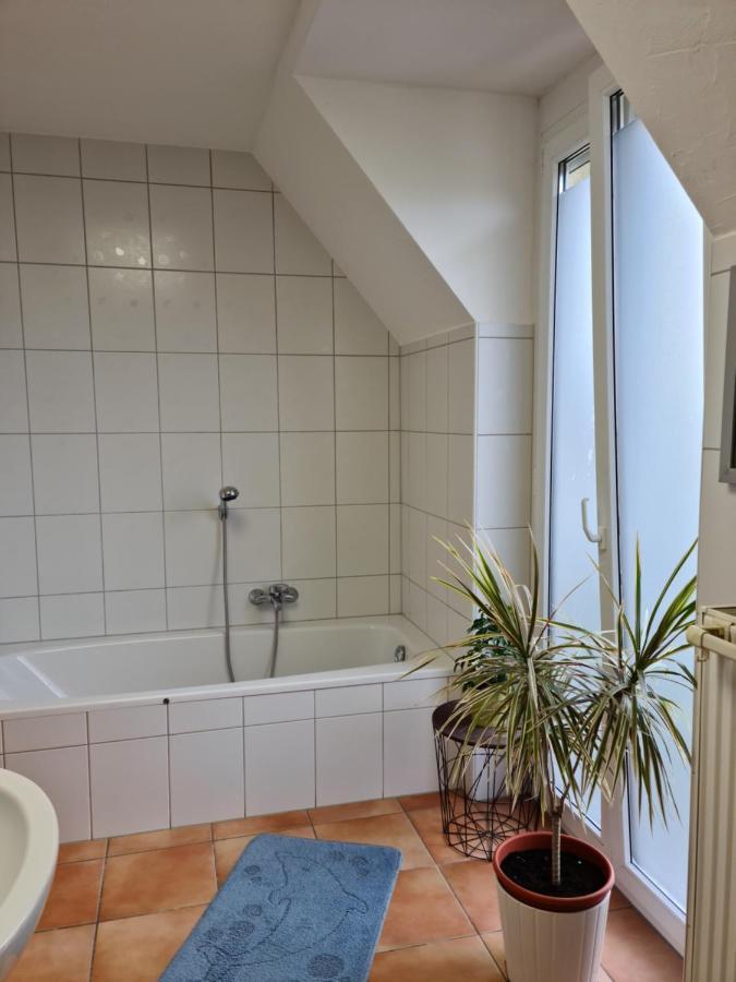 Lichtdurchflutetes Zimmer - Mainwiesen Waldbuttelbrunn ภายนอก รูปภาพ