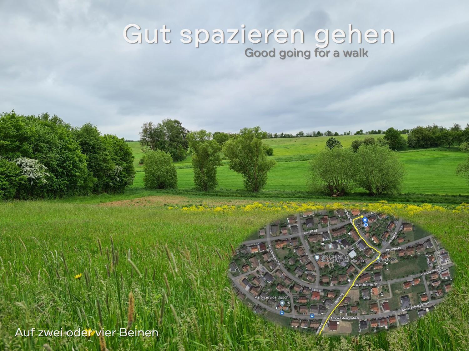 Lichtdurchflutetes Zimmer - Mainwiesen Waldbuttelbrunn ภายนอก รูปภาพ